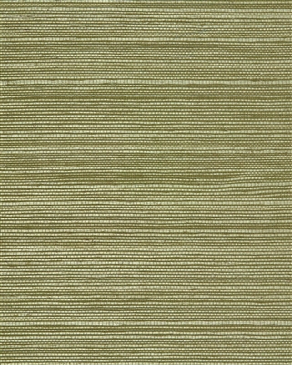 Sage Green Natural Sisal Grasscloth Wallcoverings