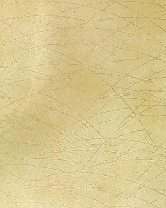 Antique gold textured scrim pattern